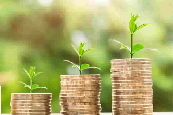 Invest in Quality for a Sustainable Future