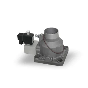 Intake-valve3--300x300
